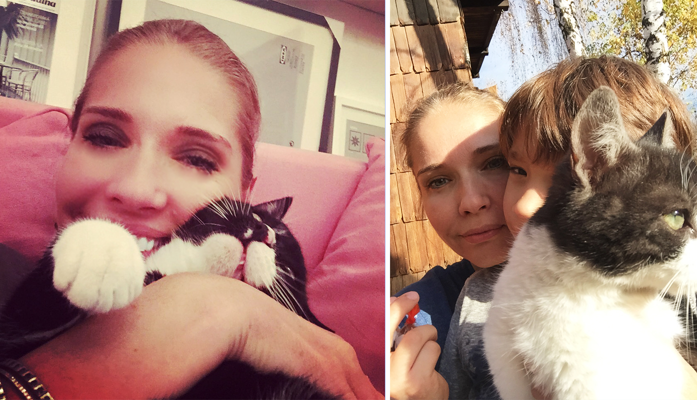 cats