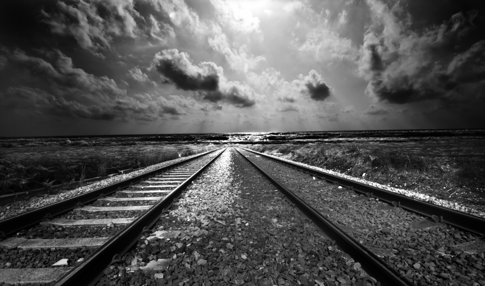 shutterstock_562701646