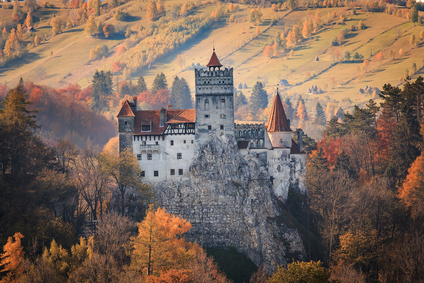 shutterstock_445665049