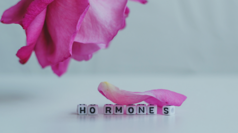<strong>Basic Info despre hormoni la SuperAge</strong>